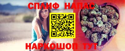 прущие грибы Гусев