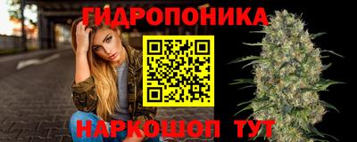 прущие грибы Гусев