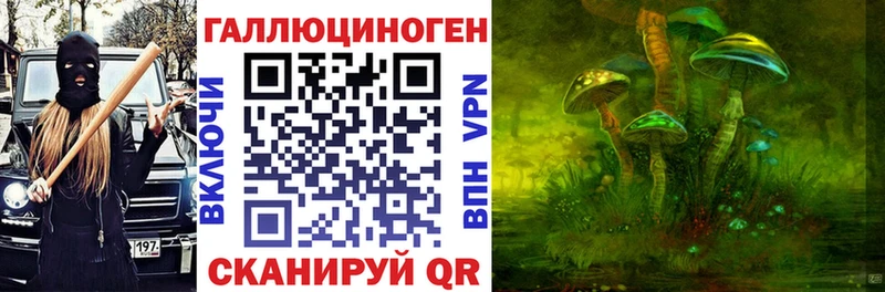 Псилоцибиновые грибы Cubensis  Саяногорск 