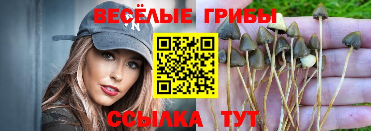 Псилоцибиновые грибы Cubensis  Вход с VPN  Галлюциногенные грибы Magic Shrooms  магазин продажи наркотиков  Саяногорск 